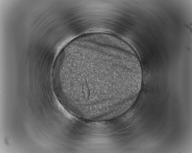 X0000098200995200805221537