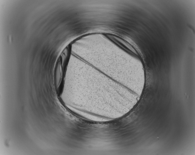 X0000098200996200805221537