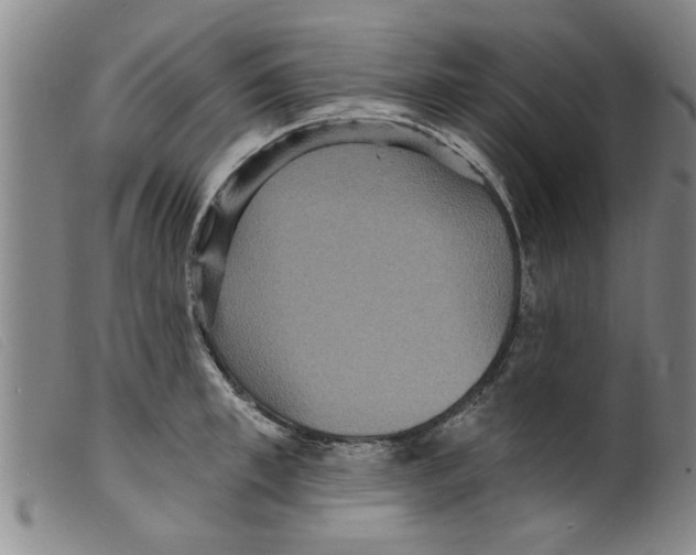 X0000098200997200805221537