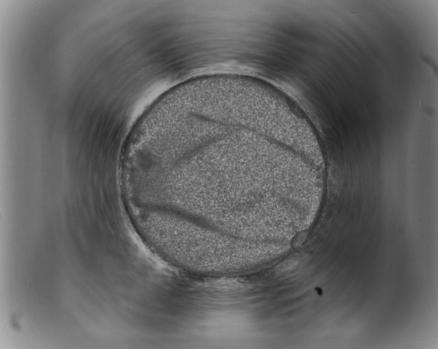 X0000098200998200805221537