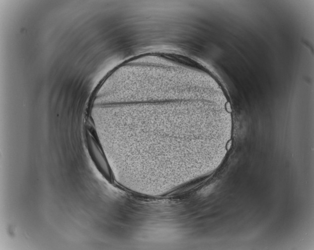 X0000098200999200805221537