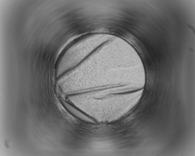 X0000098201000200805221537