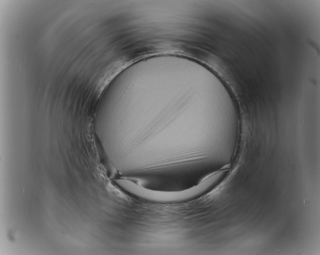 X0000098201001200805221537