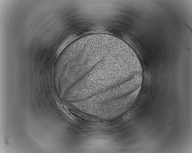 X0000098201002200805221537