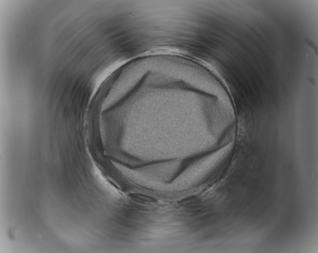X0000098201003200805221537