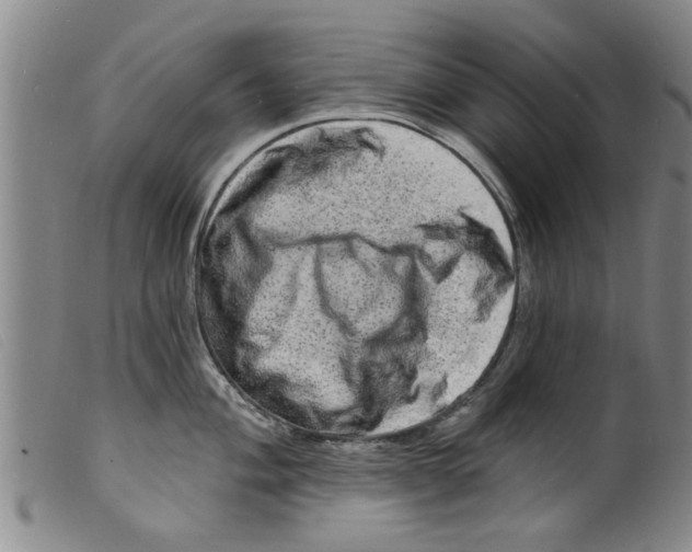 X0000098201004200805221537