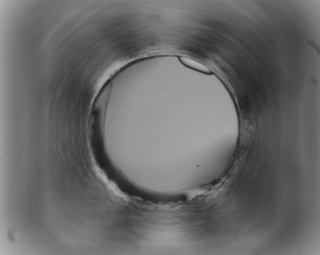 X0000098201005200805221537
