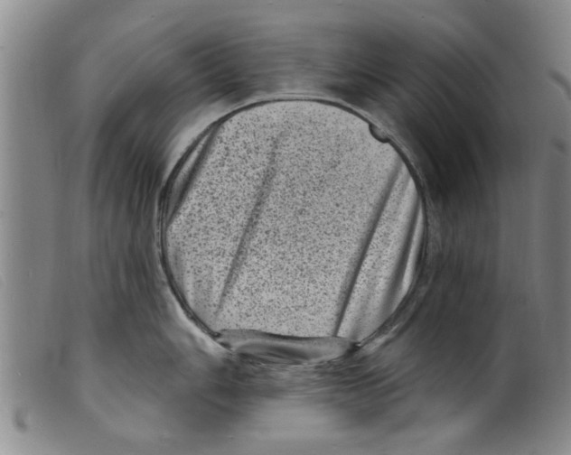 X0000098201006200805221537