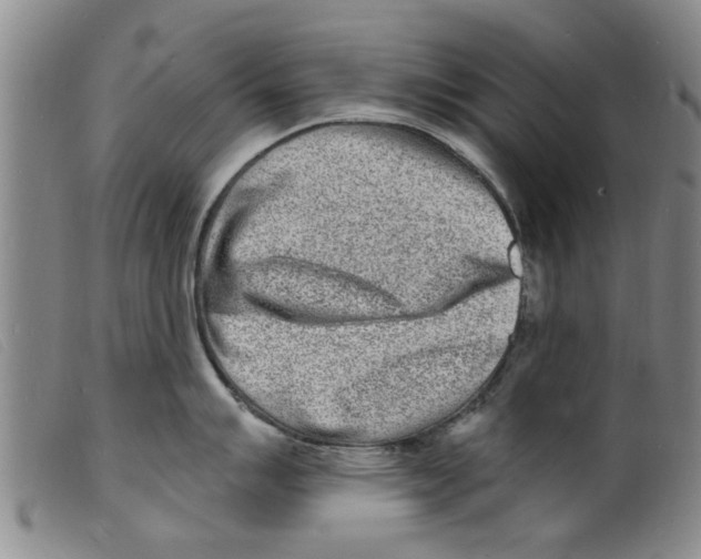 X0000098201007200805221537