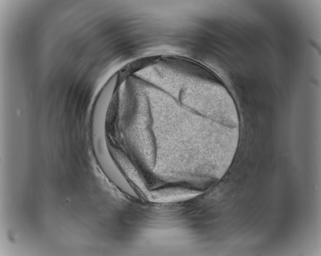 X0000098201008200805221537