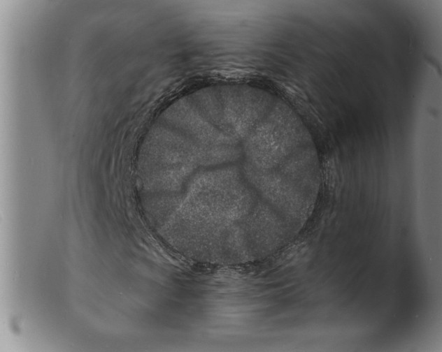 X0000098201009200805221536