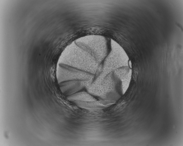 X0000098201010200805221536