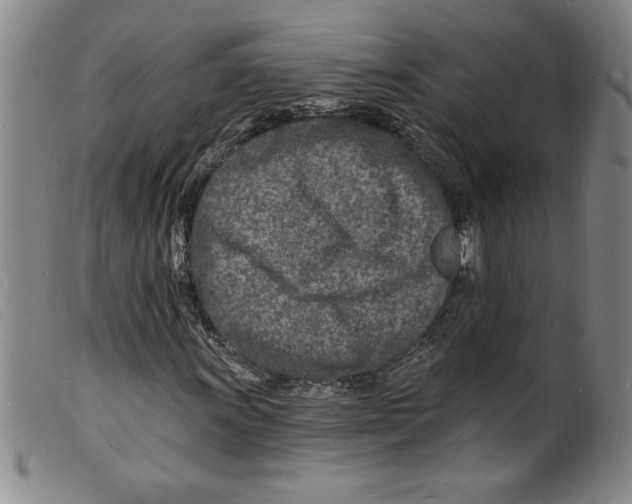 X0000098201011200805221536