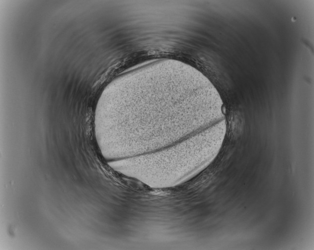 X0000098201012200805221536