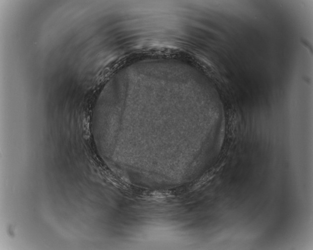 X0000098201013200805221536