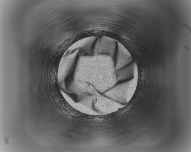 X0000098201014200805221536