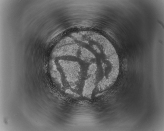 X0000098201015200805221536