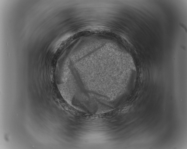 X0000098201016200805221536