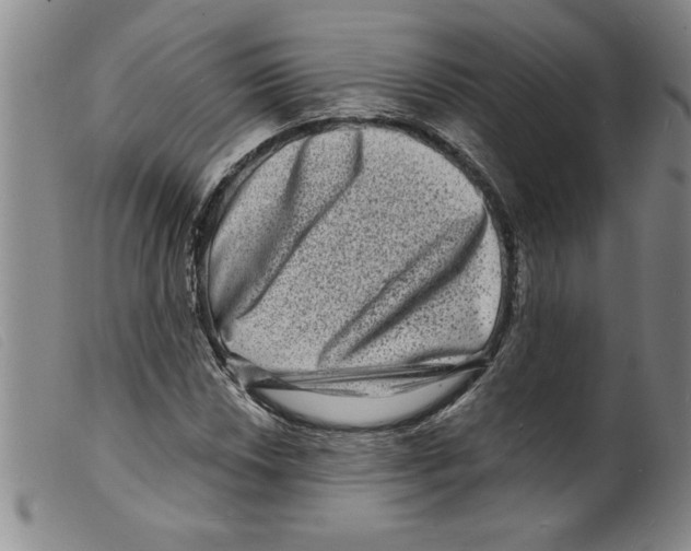 X0000098201018200805221536