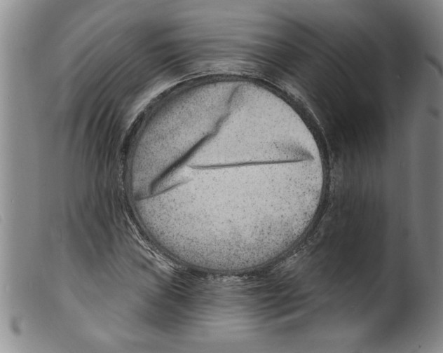 X0000098201019200805221536