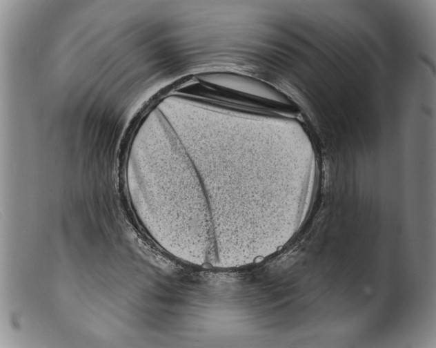 X0000098201020200805221536