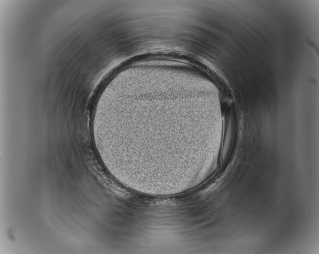 X0000098201021200805221536