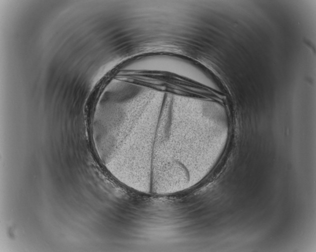 X0000098201022200805221536