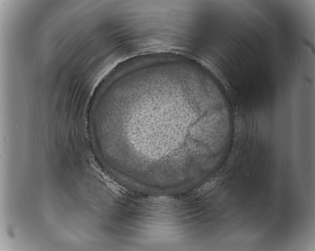 X0000098201023200805221536