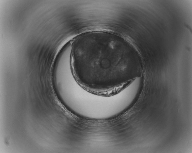 X0000098201024200805221536