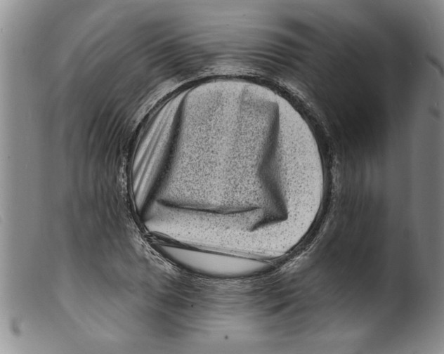 X0000098201025200805221536