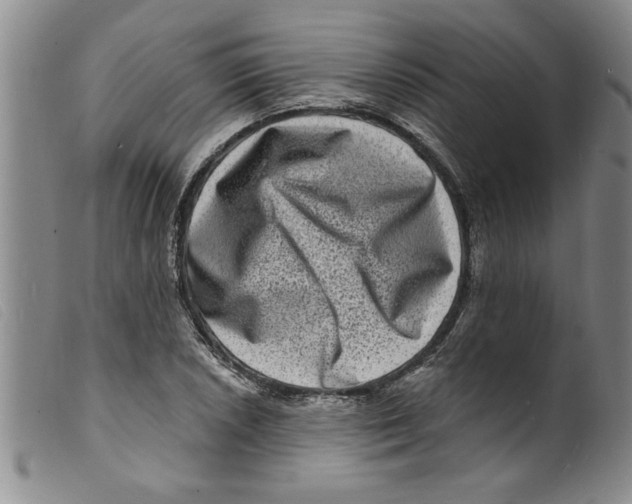 X0000098201026200805221536