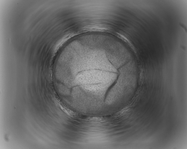 X0000098201027200805221536
