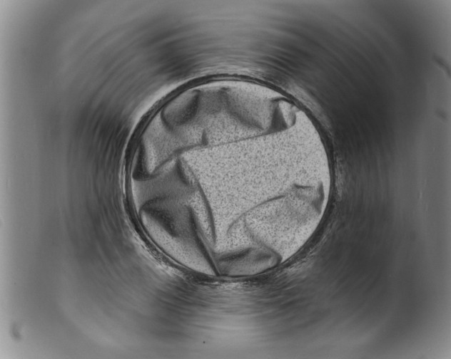 X0000098201028200805221536