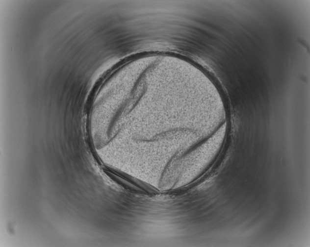 X0000098201029200805221536