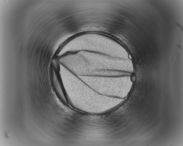X0000098201030200805221537