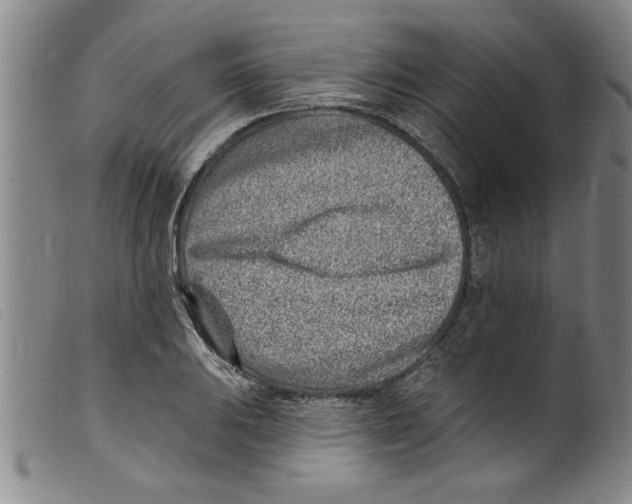 X0000098201031200805221537