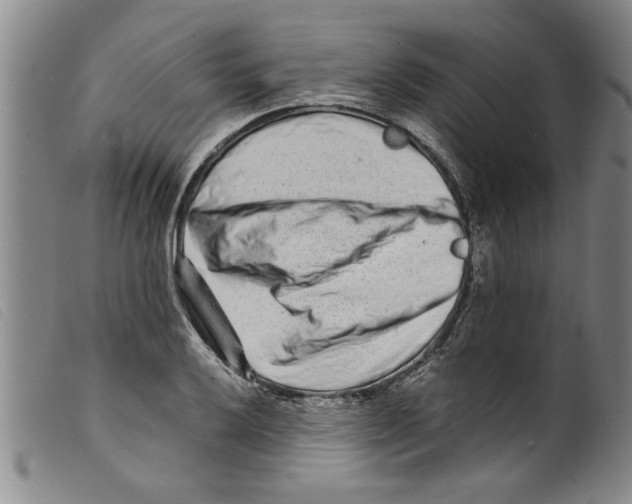 X0000098201032200805221537