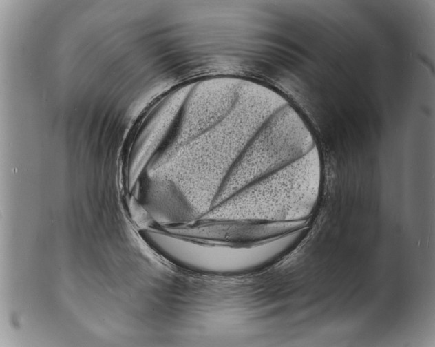 X0000098201034200805221537