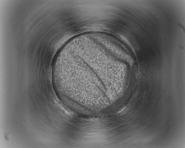 X0000098201035200805221537