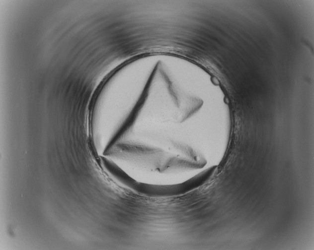 X0000098201036200805221537