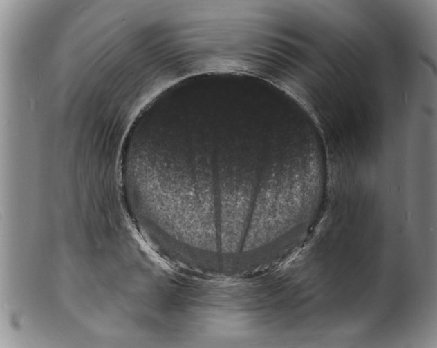 X0000098201037200805221537
