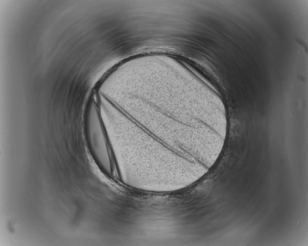 X0000098201038200805221537