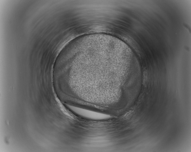 X0000098201039200805221537