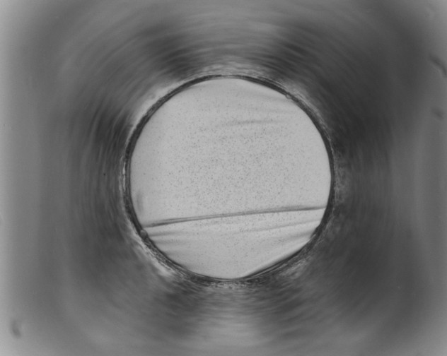 X0000098201040200805221537