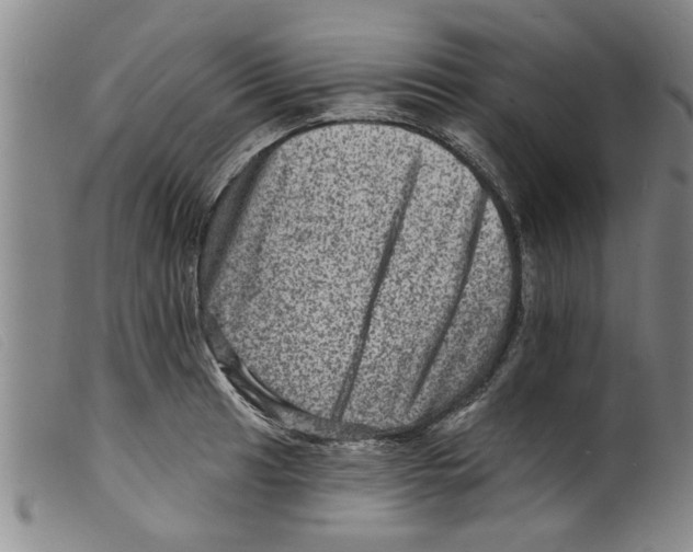 X0000098201041200805221537