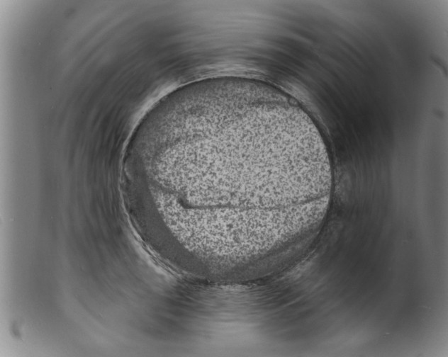 X0000098201043200805221537