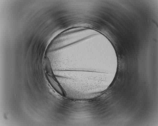 X0000098201044200805221537