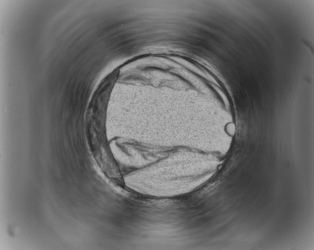 X0000098201045200805221537