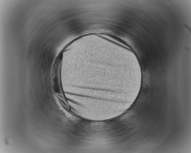 X0000098201046200805221537