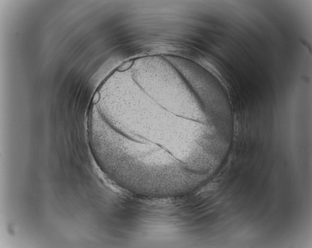 X0000098201047200805221537